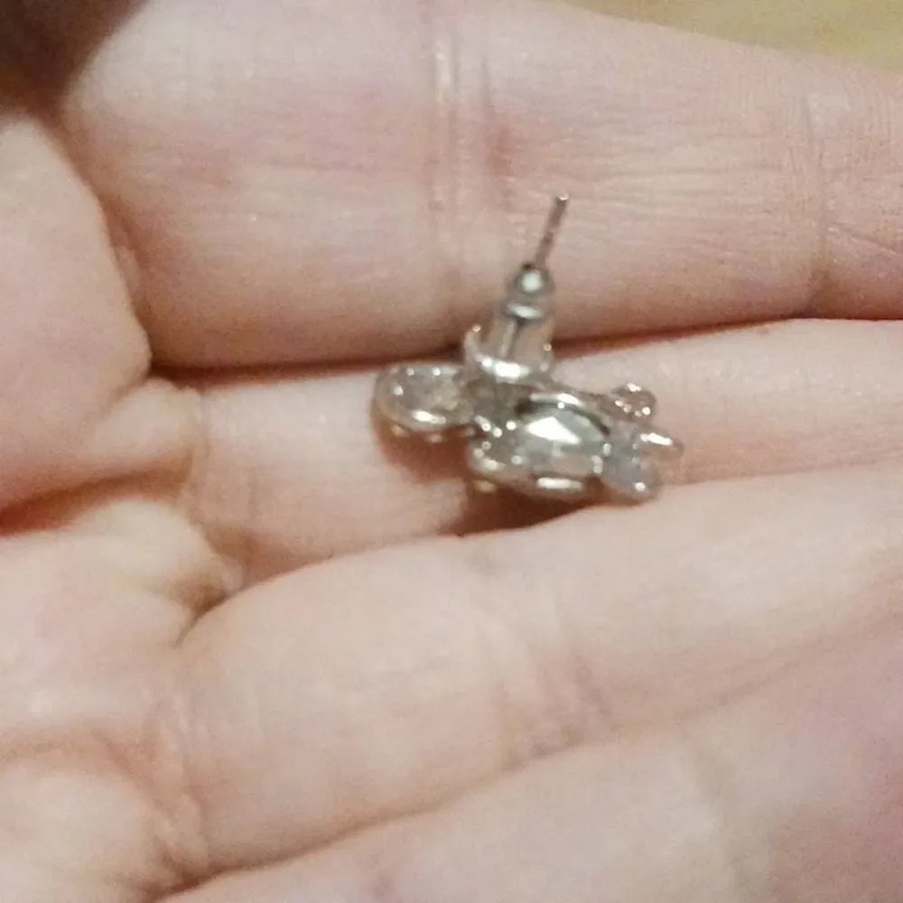 Silver Blue Diamond Turtle Necklace with Matching Earrings
